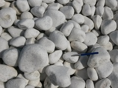 galet marbre blanc brillant 60/120